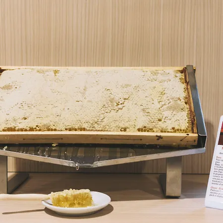 Гостевой дом Domus Helena Рим