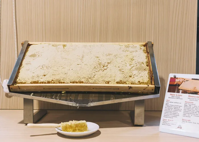 Konukevi Domus Helena Roma